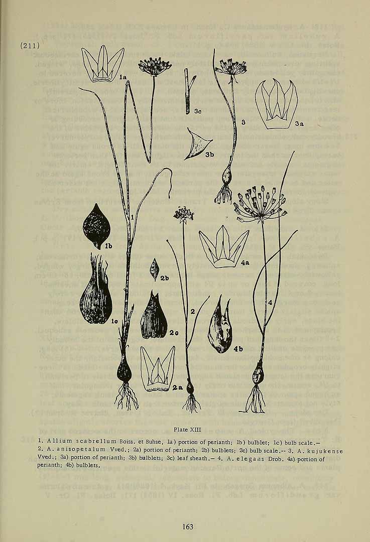 no HD illustration available (3)