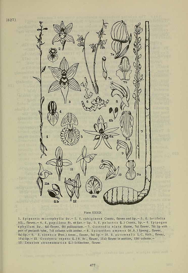 no HD illustration available (3)