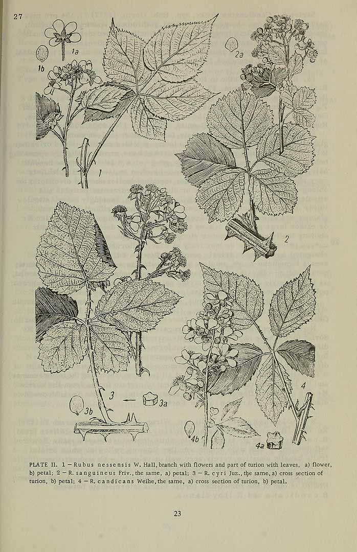 no HD illustration available (3)