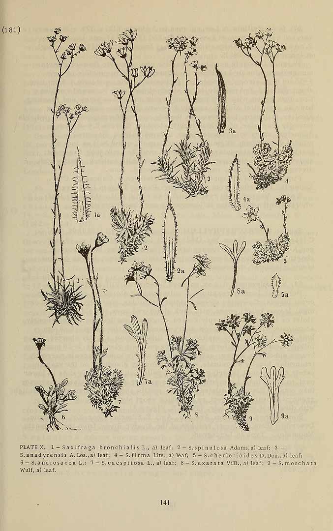 no HD illustration available (3)