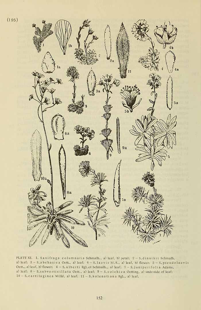 no HD illustration available (3)