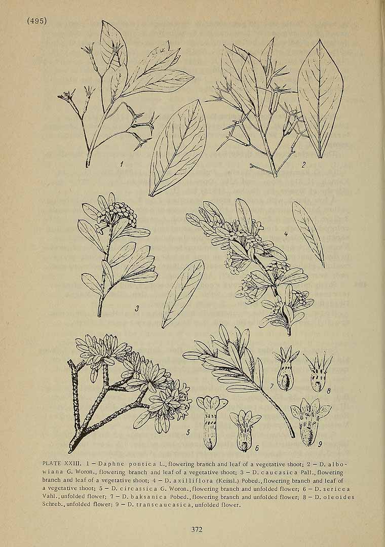 no HD illustration available (3)