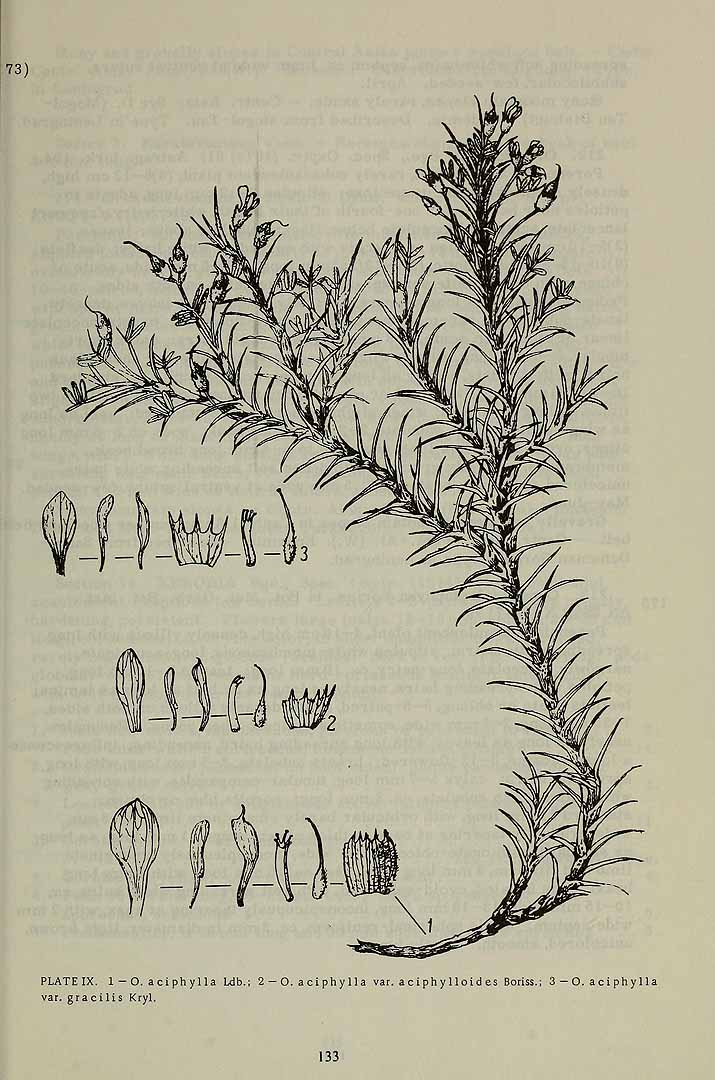 no HD illustration available (3)