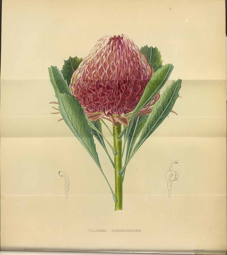 no HD illustration available (3)