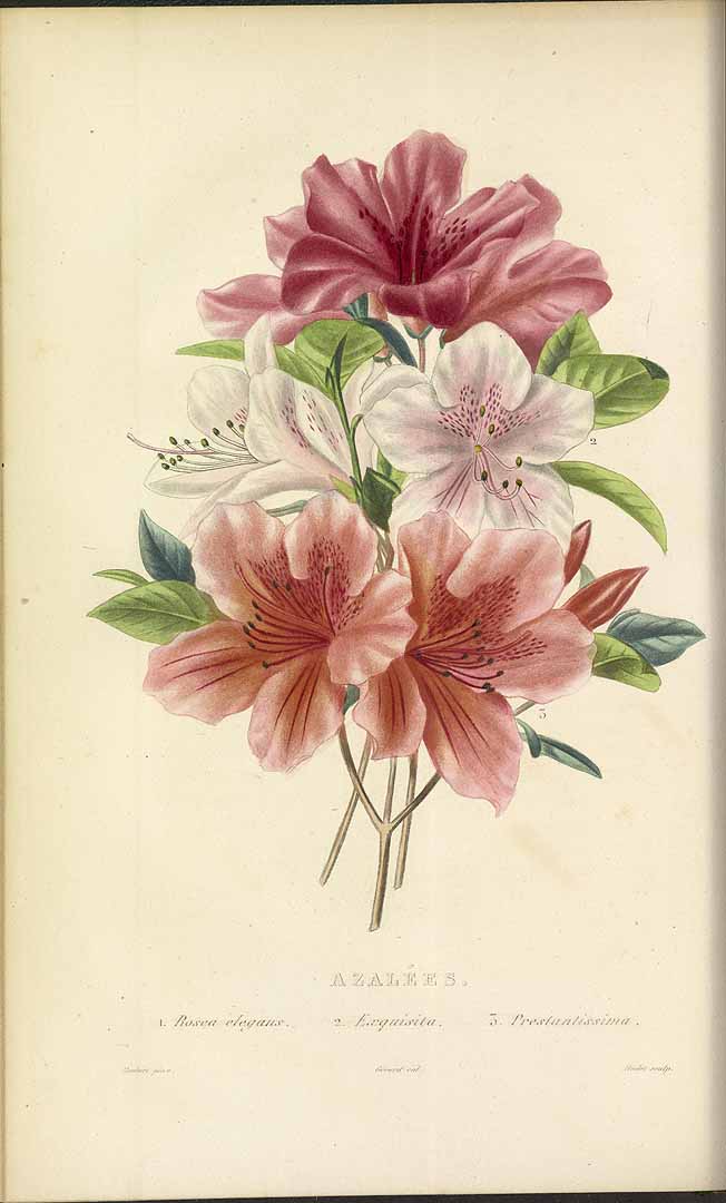 no HD illustration available (3)