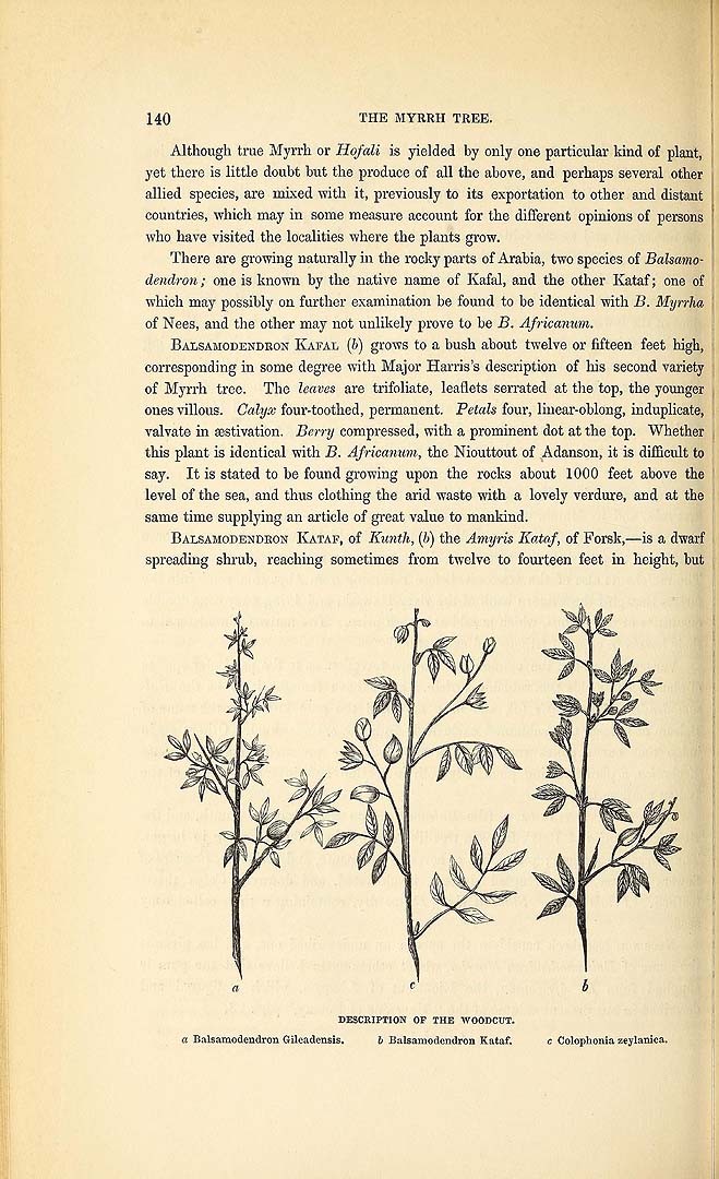 no HD illustration available (3)