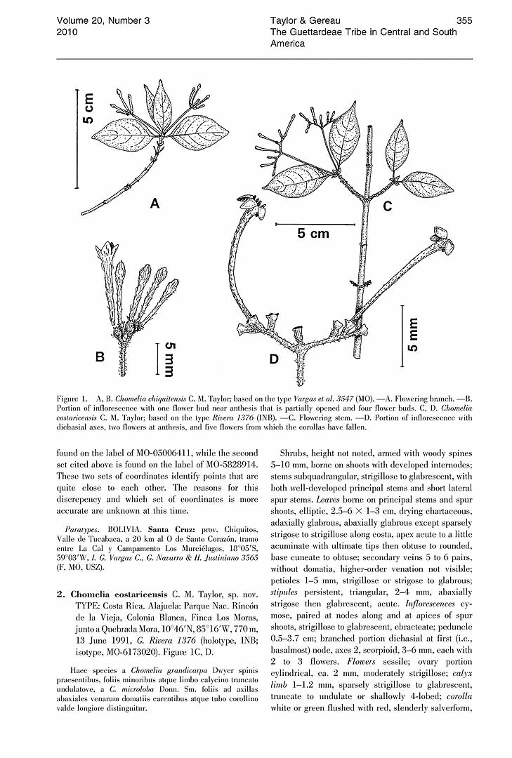 no HD illustration available (3)