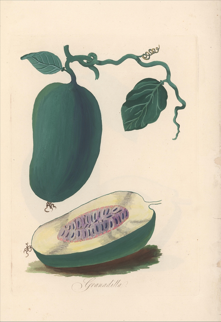 no HD illustration available (3)