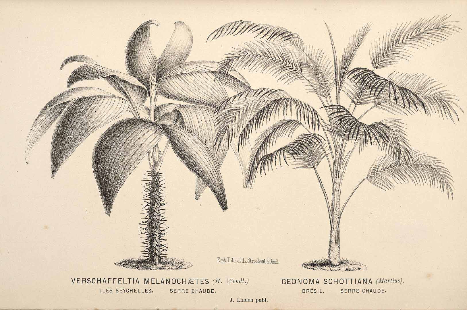 no HD illustration available (3)