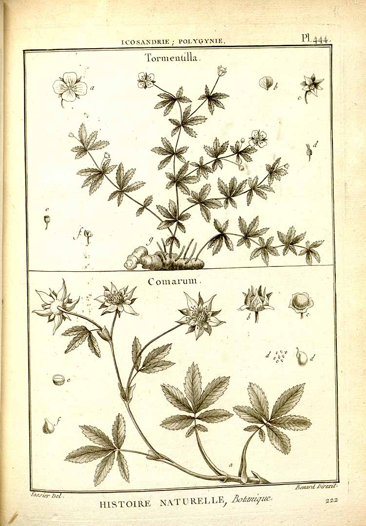 no HD illustration available (3)