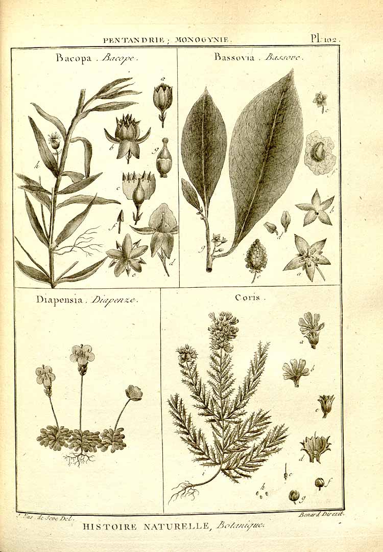 no HD illustration available (3)