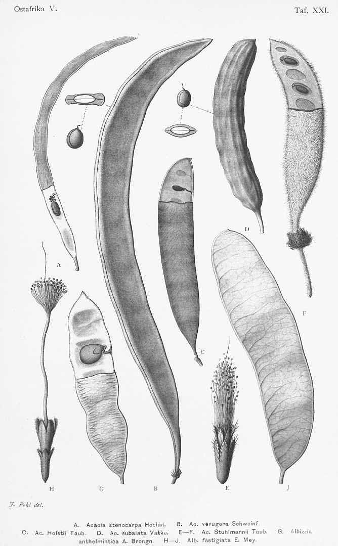 no HD illustration available (3)