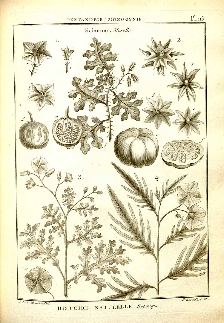 no HD illustration available (3)