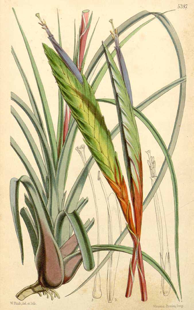 no HD illustration available (3)