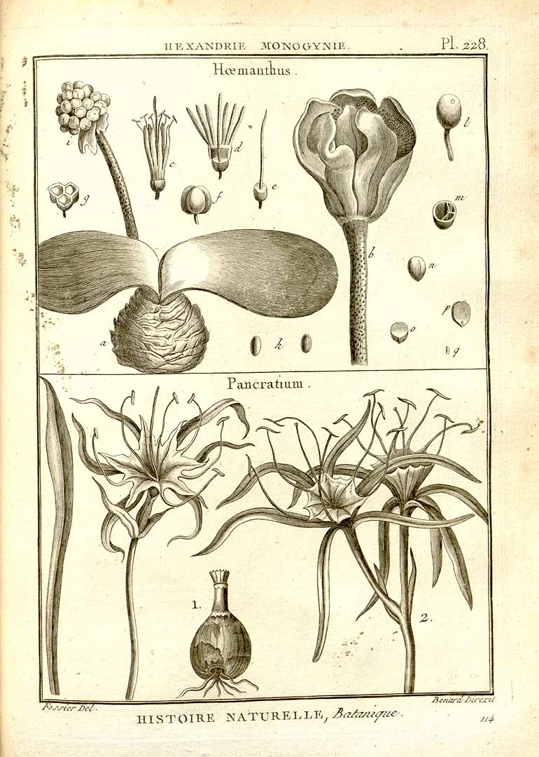 no HD illustration available (3)