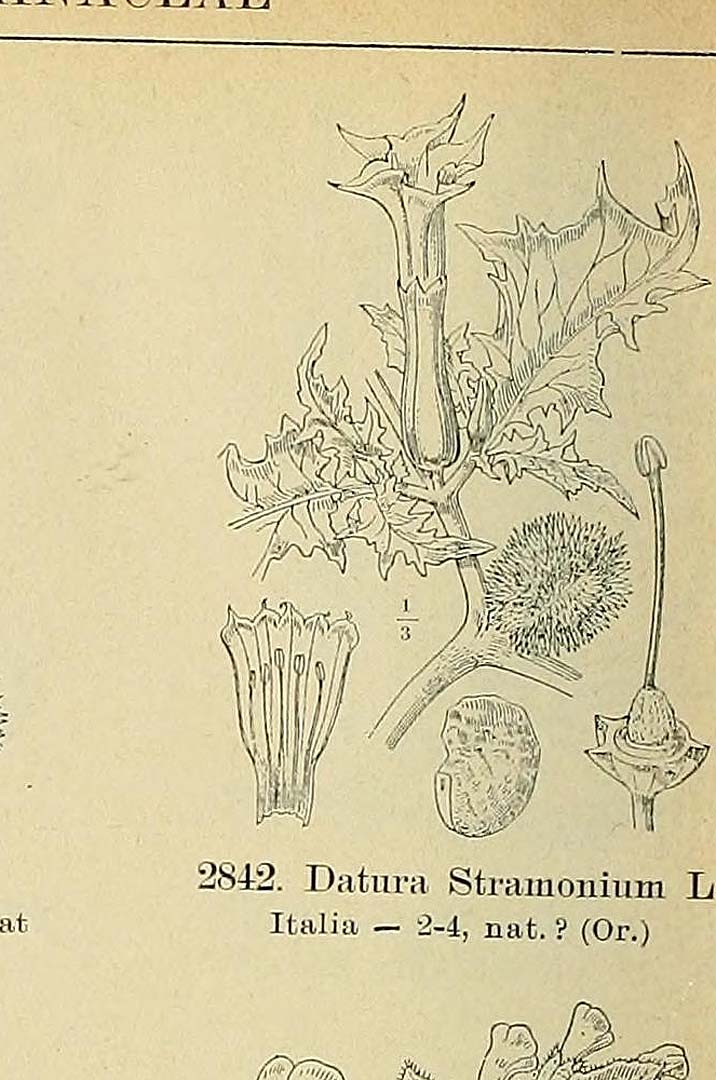 no HD illustration available (3)