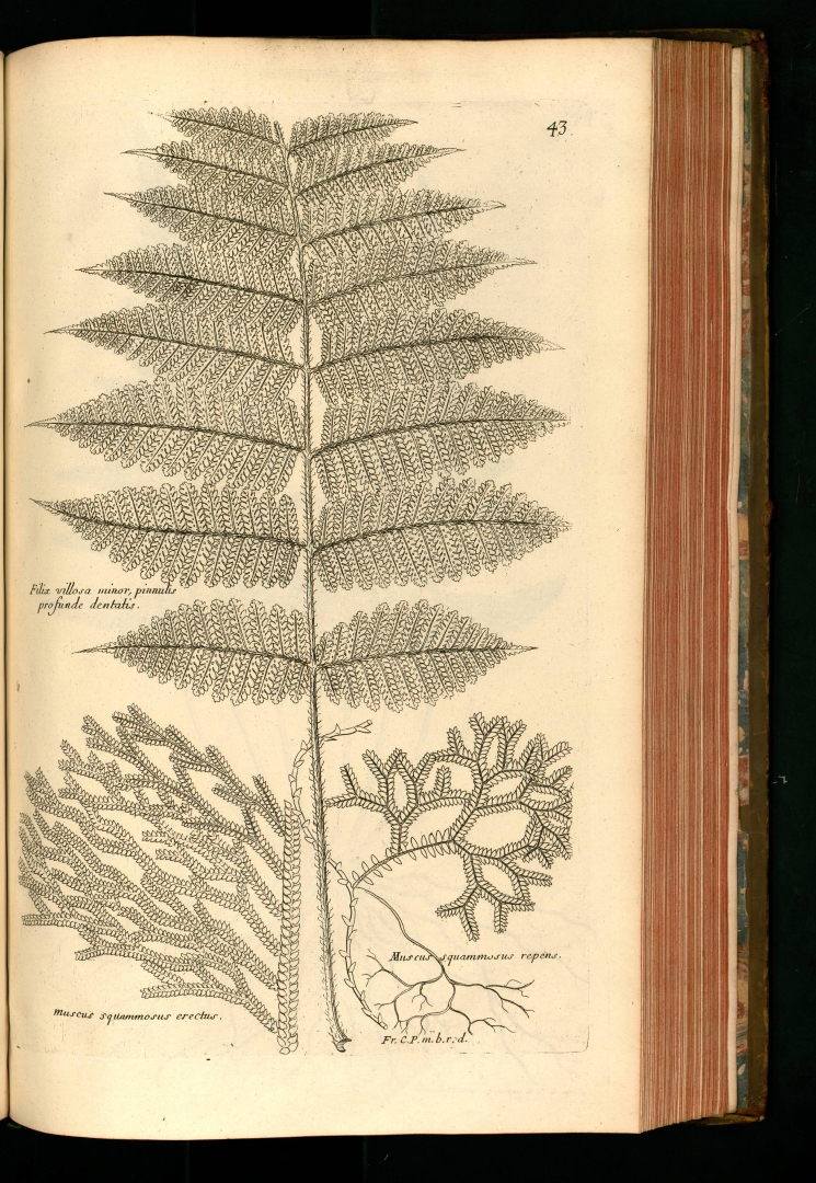 no HD illustration available (3)