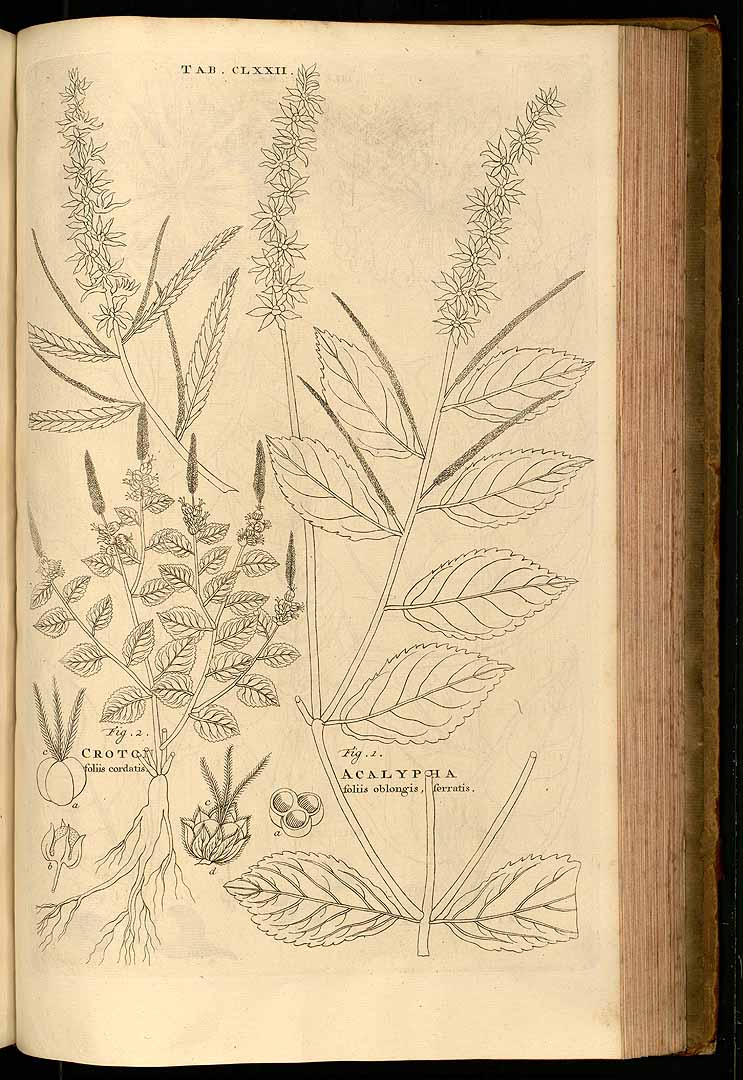 no HD illustration available (3)