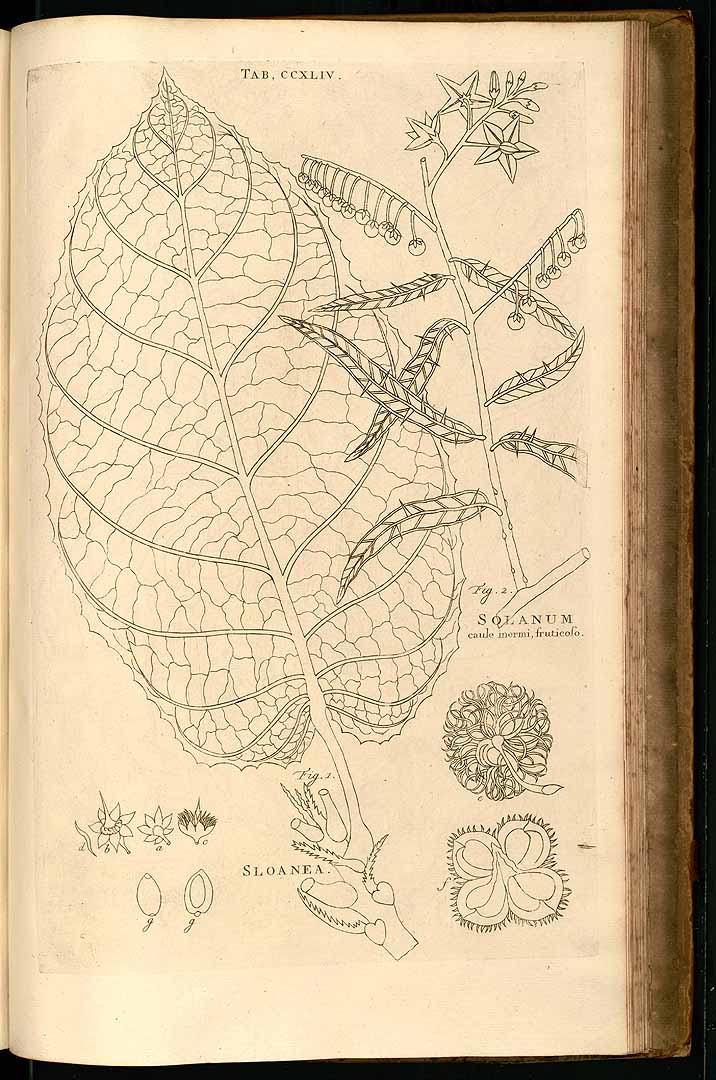 no HD illustration available (3)