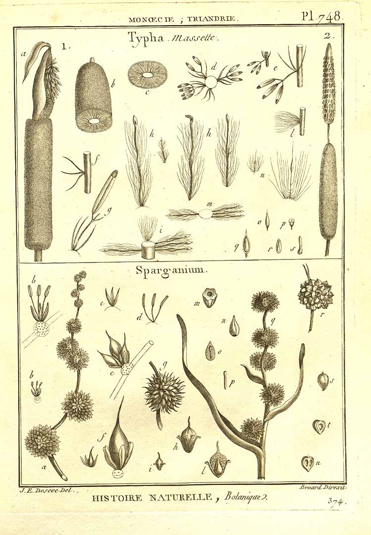 no HD illustration available (3)