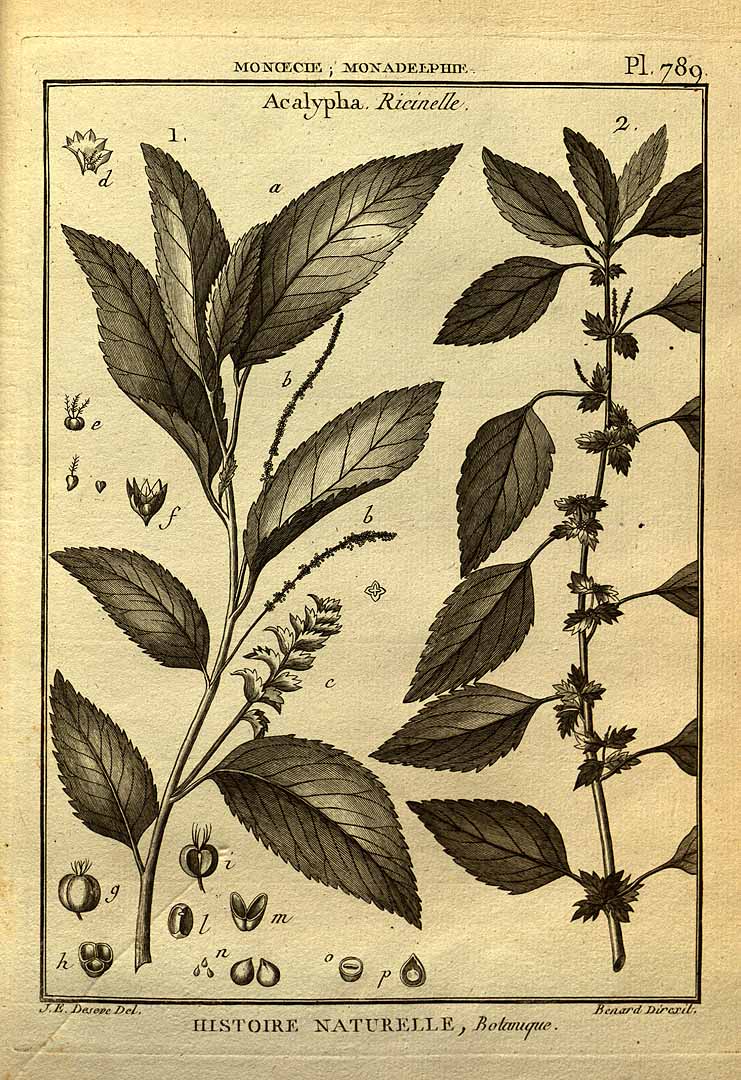 no HD illustration available (3)