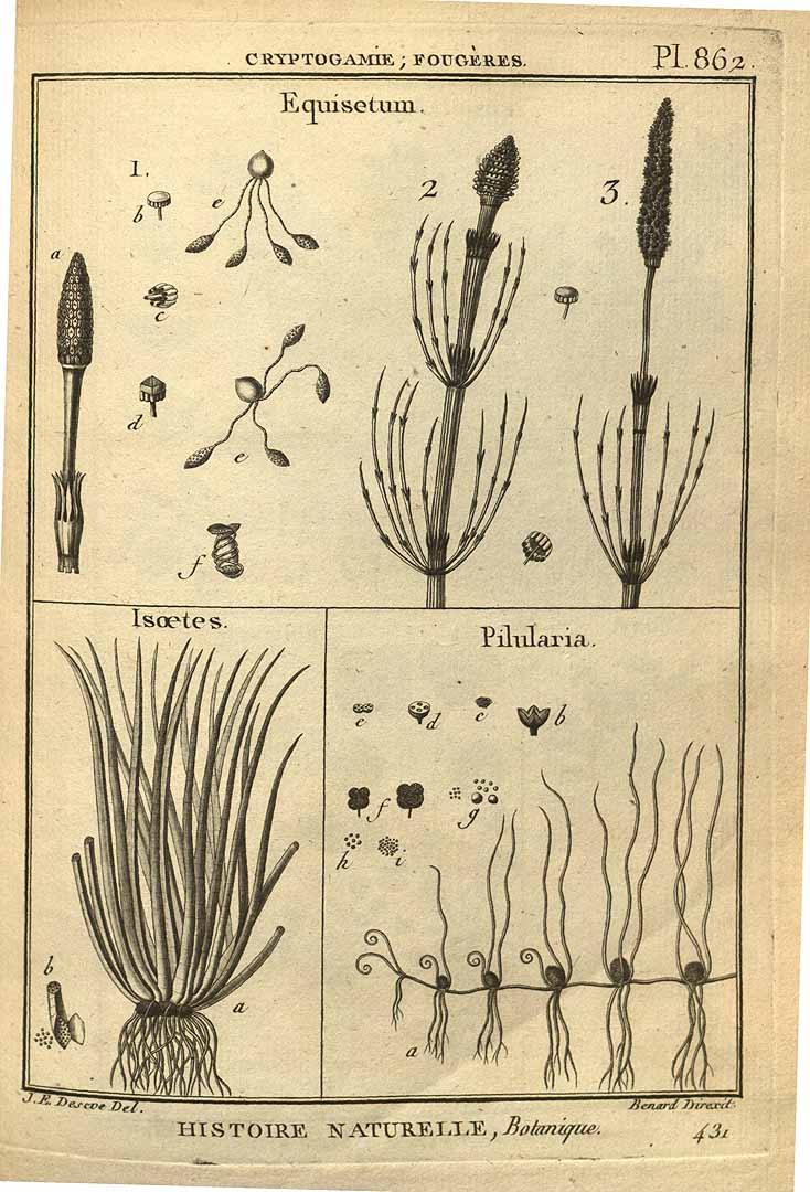 no HD illustration available (3)