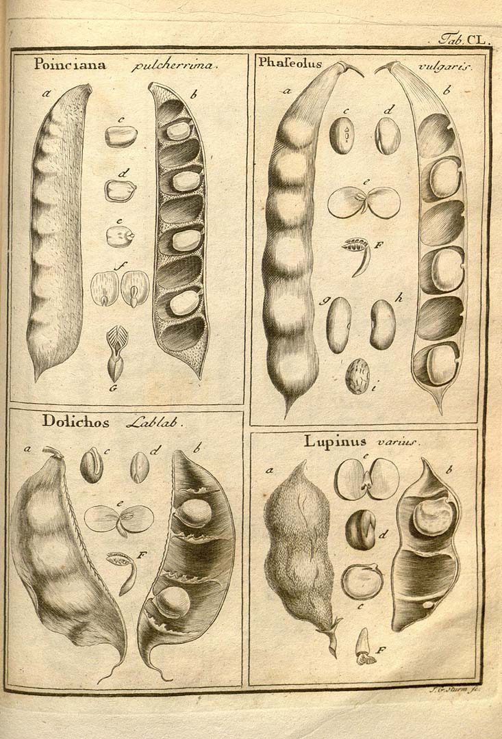 no HD illustration available (3)