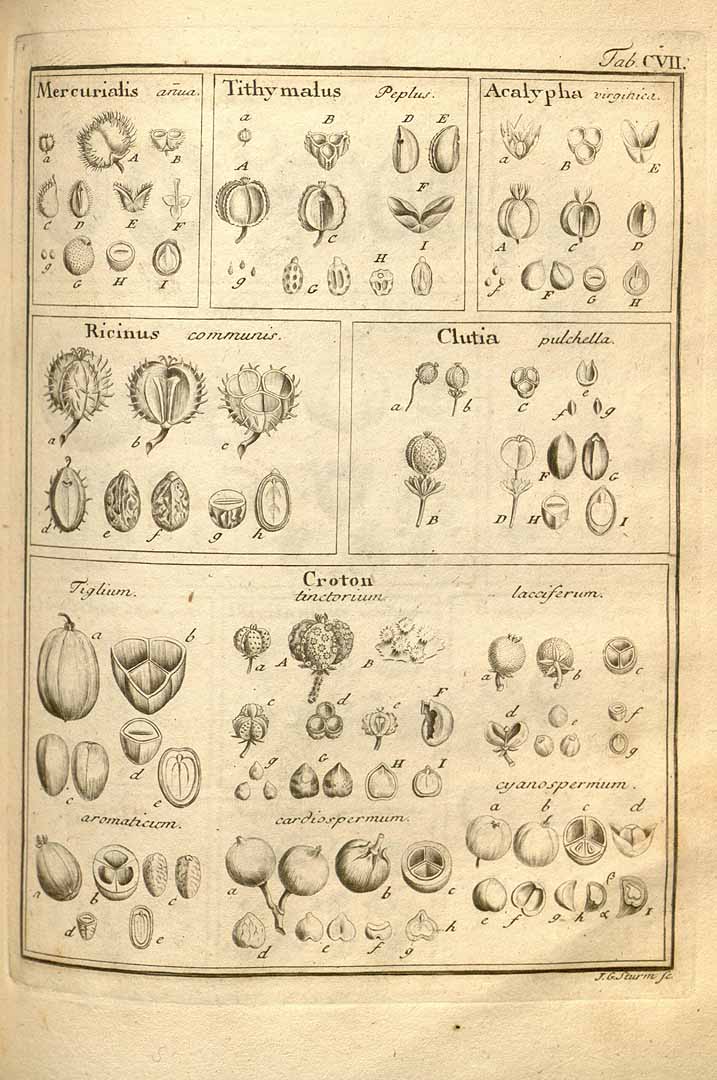 no HD illustration available (3)