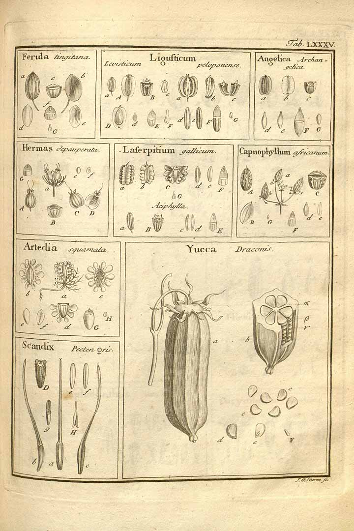 no HD illustration available (3)