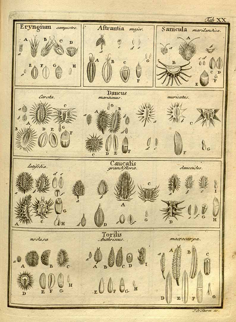 no HD illustration available (3)