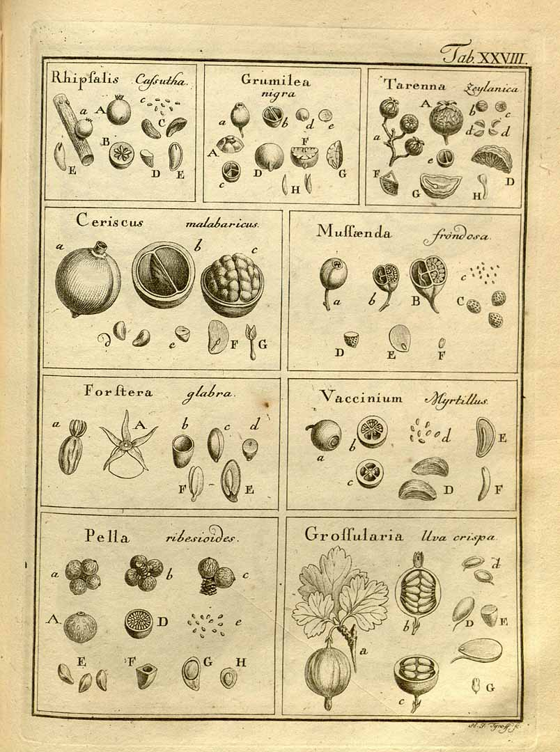 no HD illustration available (3)