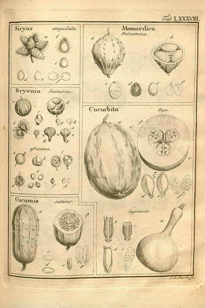 no HD illustration available (3)