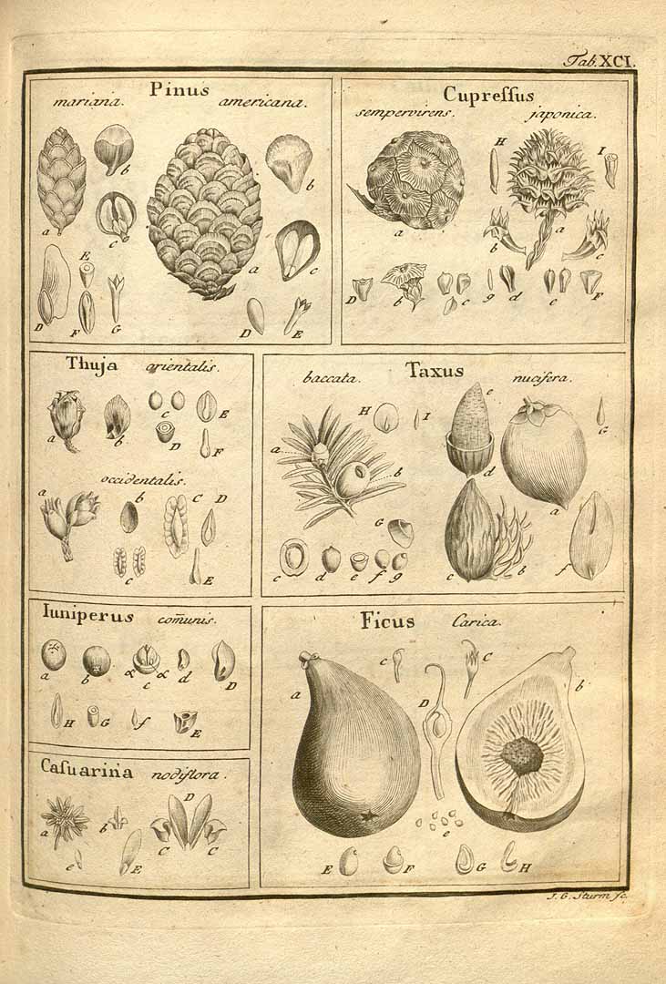 no HD illustration available (3)