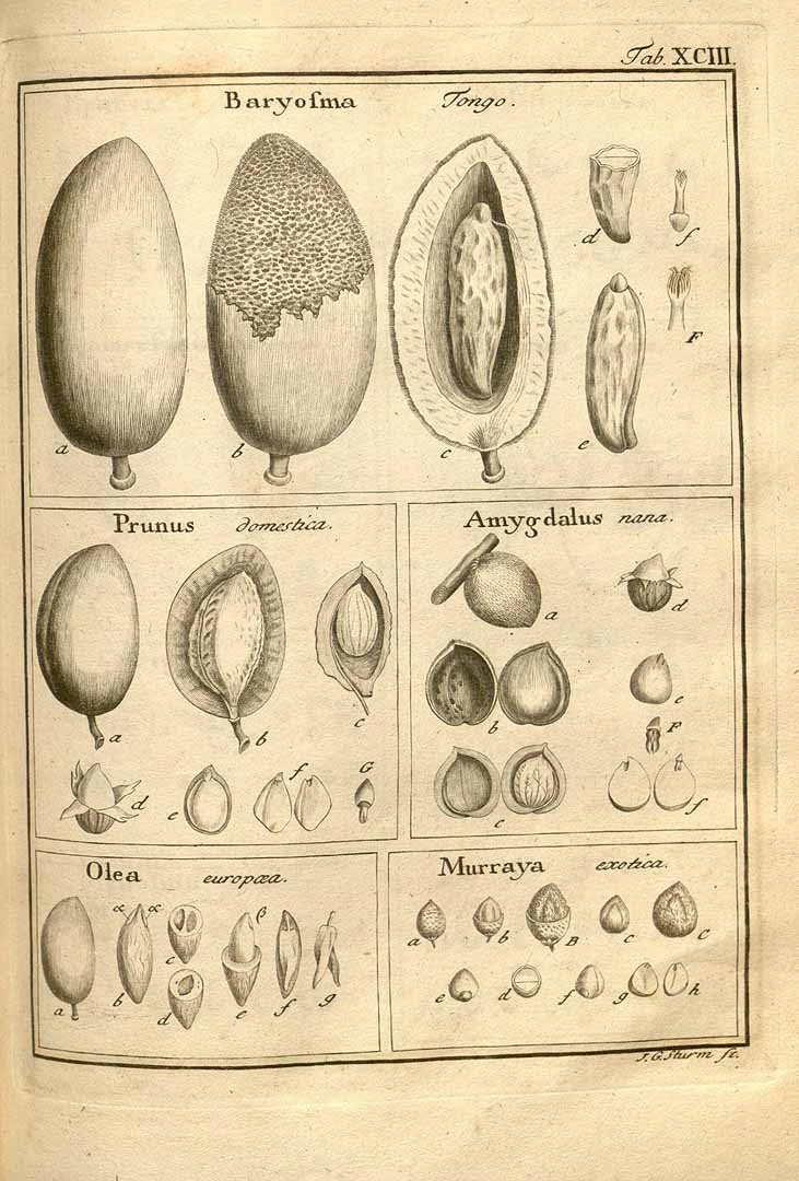 no HD illustration available (3)