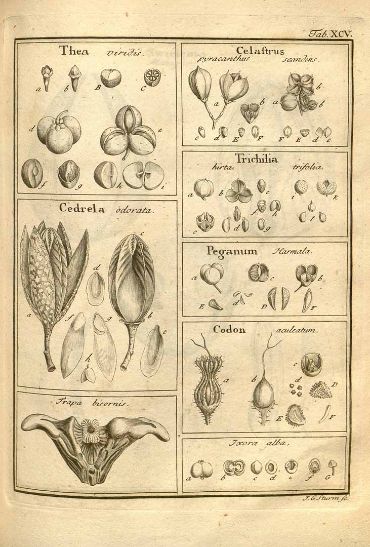 no HD illustration available (3)