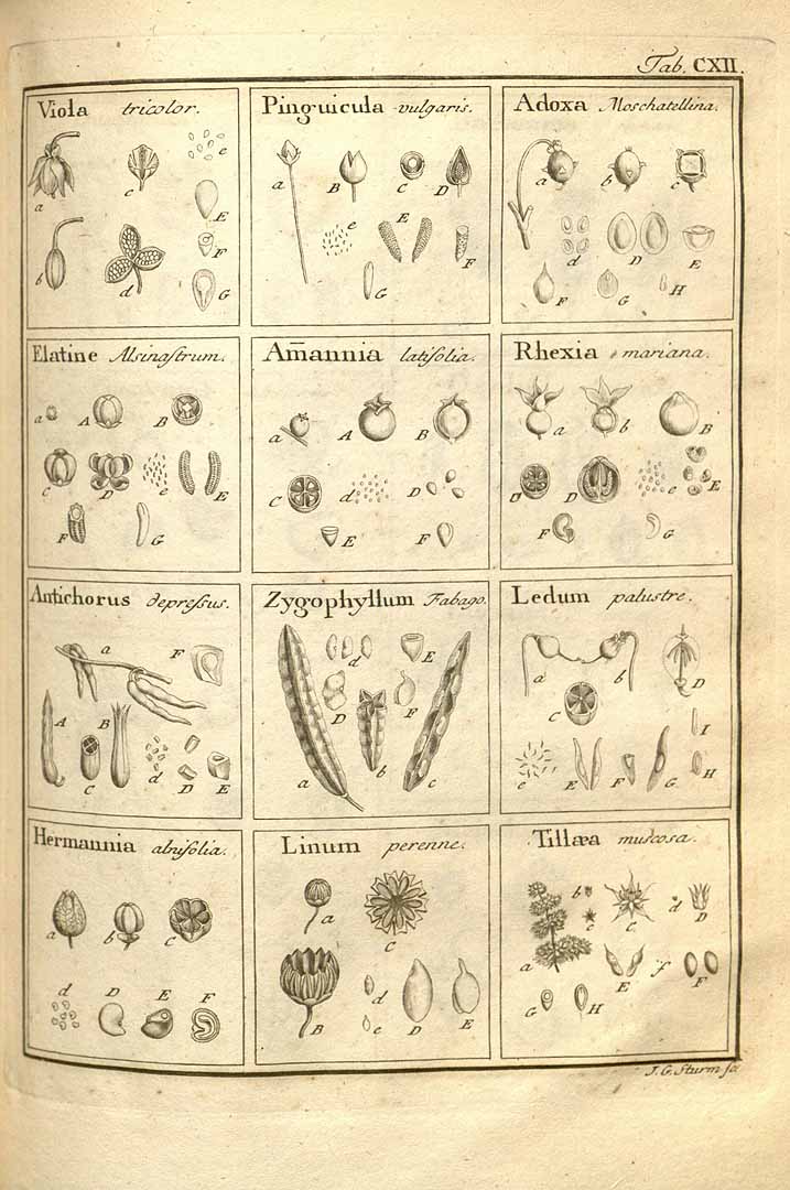 no HD illustration available (3)