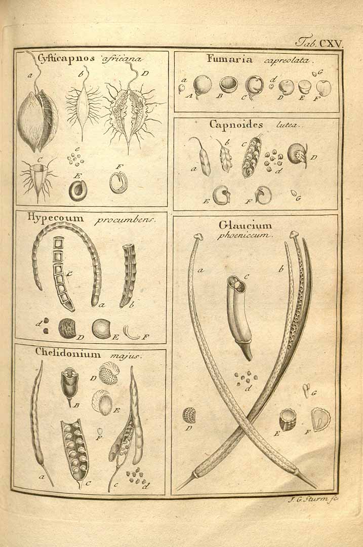 no HD illustration available (3)