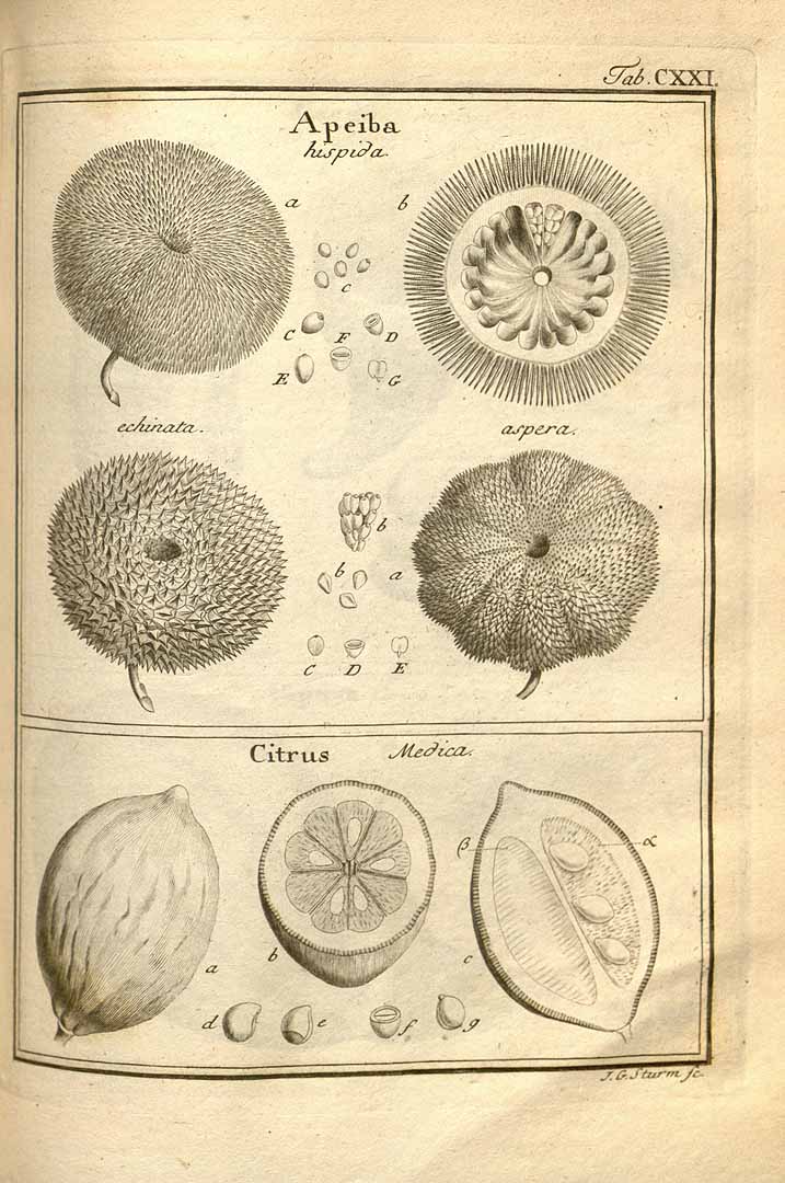 no HD illustration available (3)