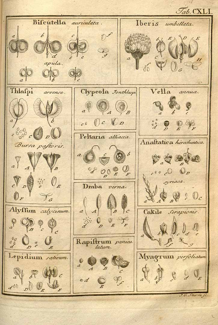 no HD illustration available (3)