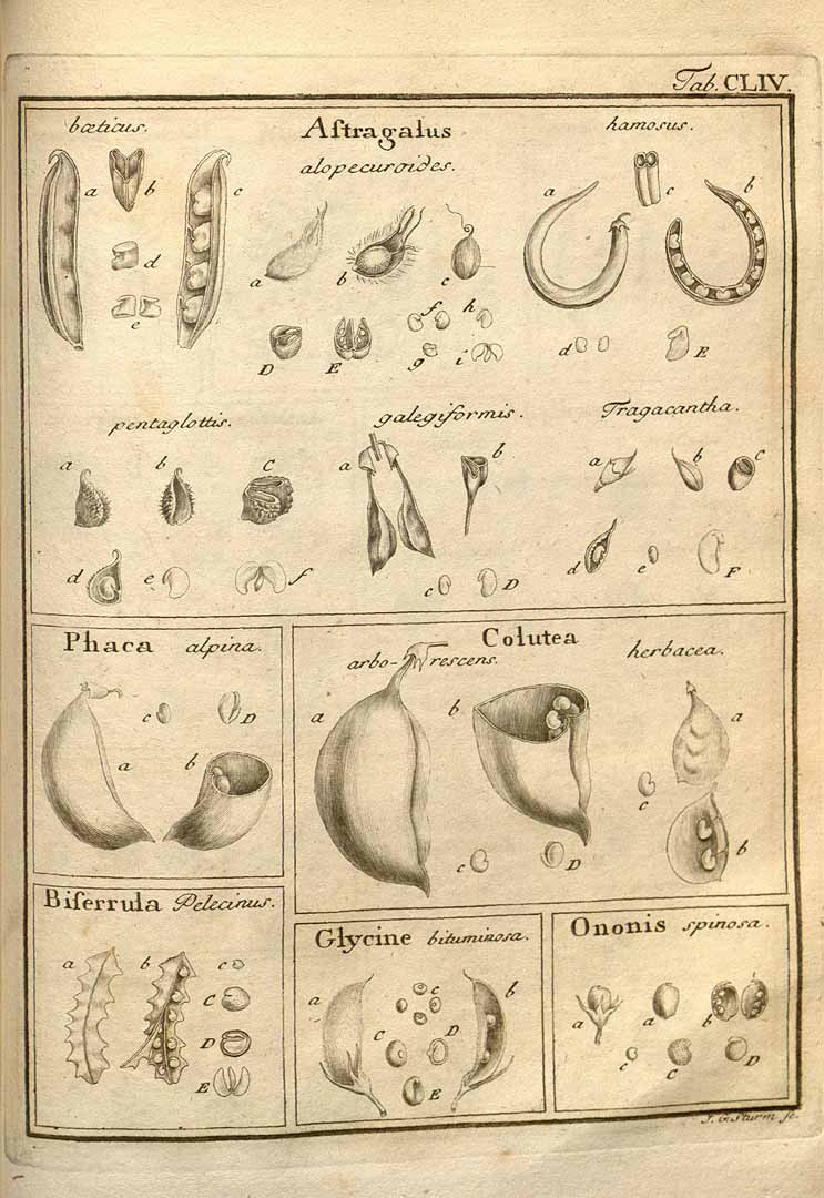 no HD illustration available (3)