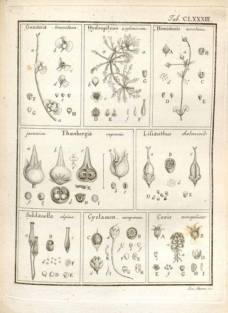 no HD illustration available (3)