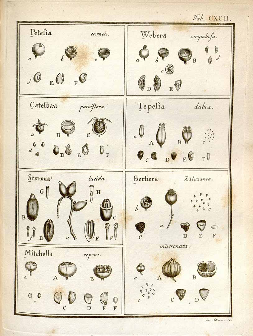 no HD illustration available (3)