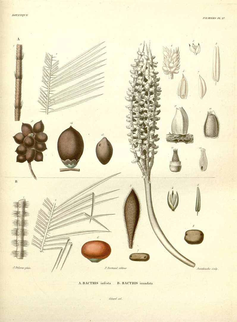 no HD illustration available (3)