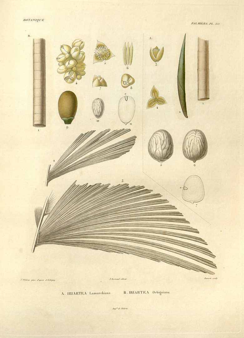 no HD illustration available (3)