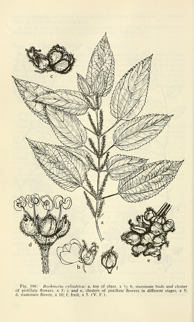 no HD illustration available (3)