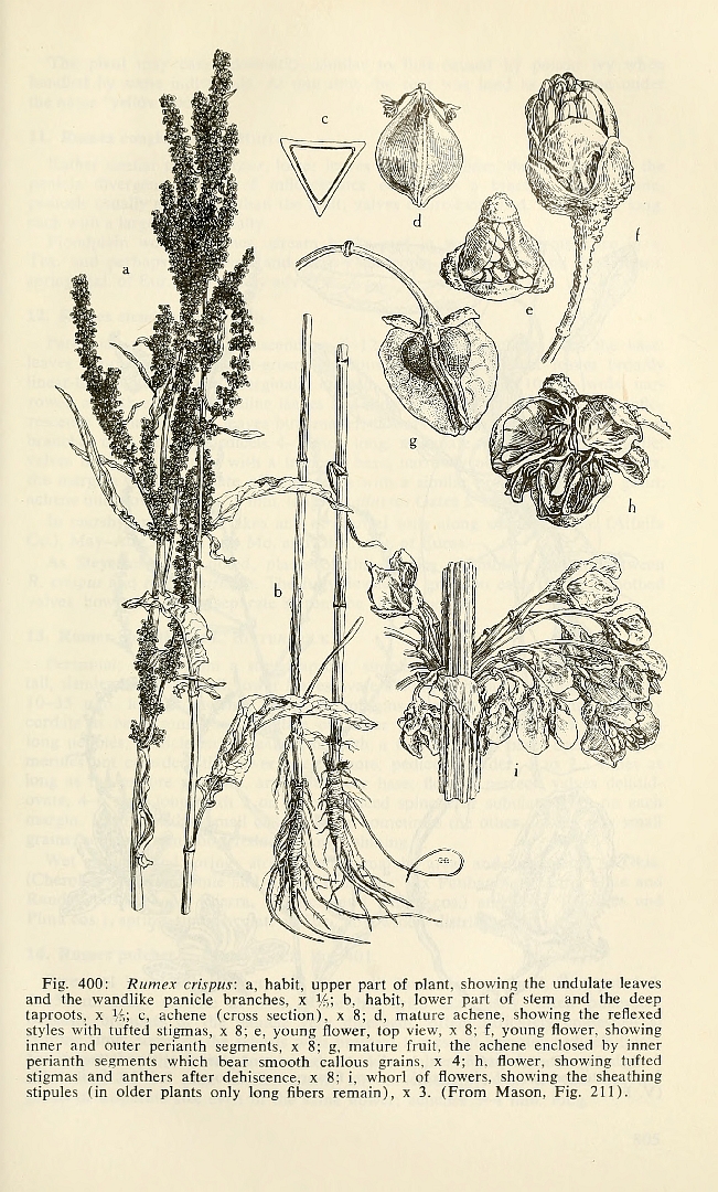 no HD illustration available (3)