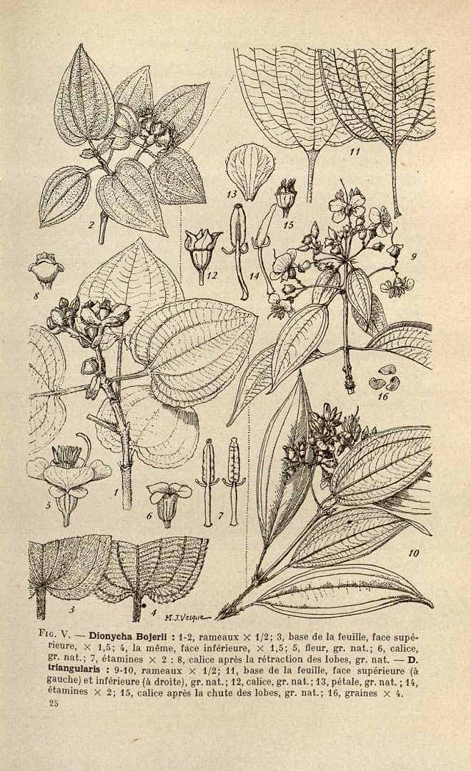 no HD illustration available (3)