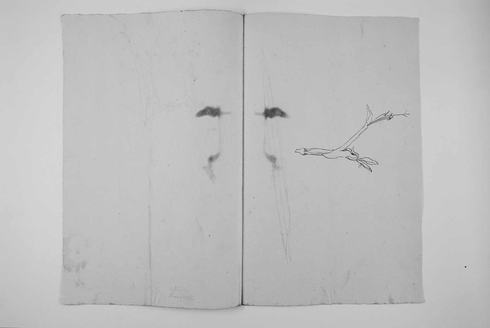 no HD illustration available (3)