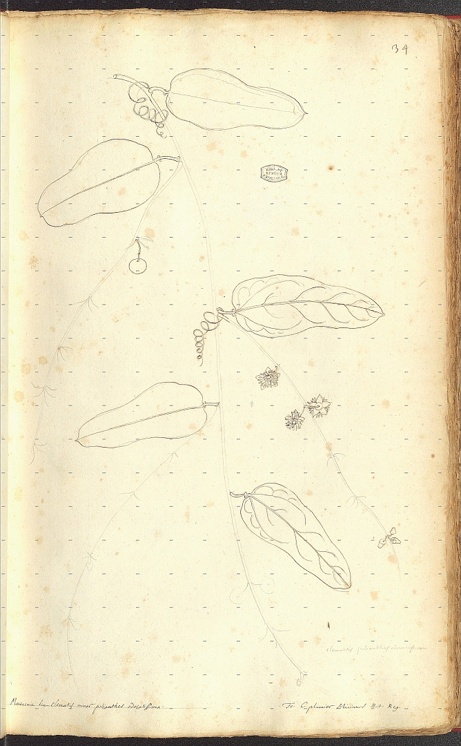 no HD illustration available (3)