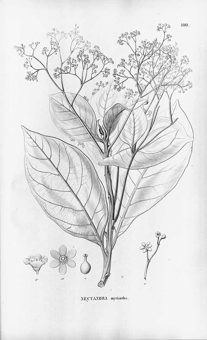 no HD illustration available (3)